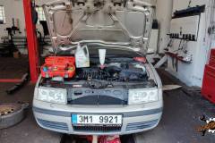 dg-automotive_026