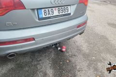 dg-automotive_044